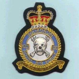 100 SQN CREST GOLD WIRE BADGE