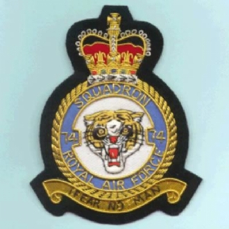 74 SQN CREST GOLD WIRE BADGE