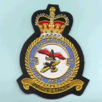 29 SQN CREST GOLD WIRE BADGE