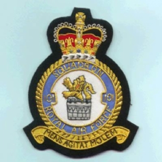 101 SQN CREST GOLD WIRE BADGE