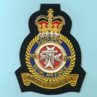 22 SQN CREST GOLD WIRE BADGE