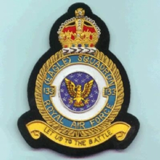 133 (EAGLE) SQN CREST GOLD WIRE BADGE