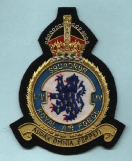 54 SQN CREST (KC) GOLD WIRE BADGE