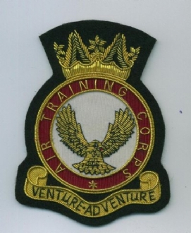 ATC CREST GOLD WIRE BADGE