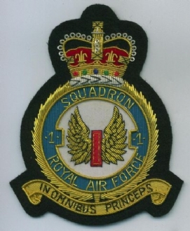 1 SQN CREST GOLD WIRE BADGE