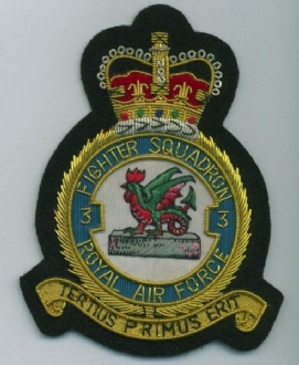 3 SQN CREST GOLD WIRE BADGE