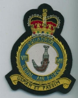 8 SQN CREST GOLD WIRE BADGE 