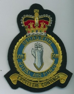 17 SQN CREST GOLD WIRE BADGE