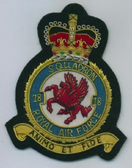 18 SQN CREST GOLD WIRE BADGE