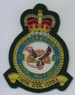 20 SQN CREST GOLD WIRE BADGE