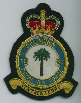 30 SQN CREST GOLD WIRE BADGE