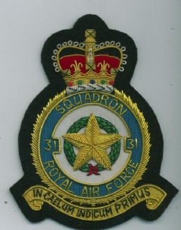 31 SQN CREST GOLD WIRE BADGE