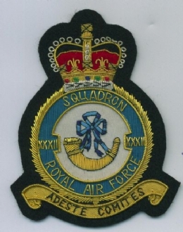 32 SQN CREST GOLD WIRE BADGE