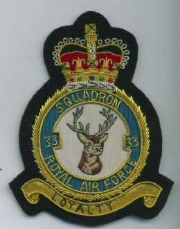 33 SQN CREST GOLD WIRE BADGE