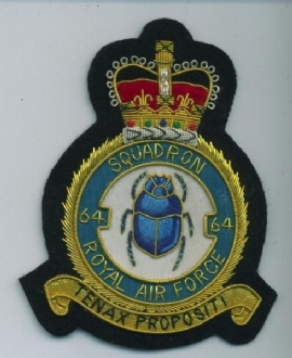 64 SQN CREST GOLD WIRE BADGE