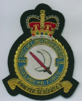 600 SQN CREST QC GOLD WIRE BADGE