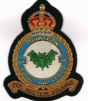 9 SQN CREST KC GOLD WIRE BADGE