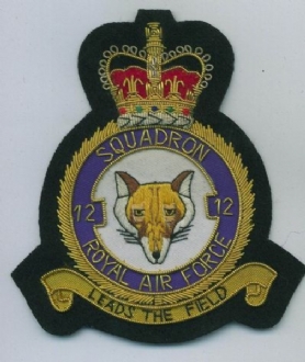 12 SQN CREST GOLD WIRE BADGE