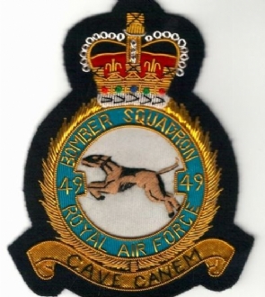 49 SQN CREST GOLD WIRE BADGE