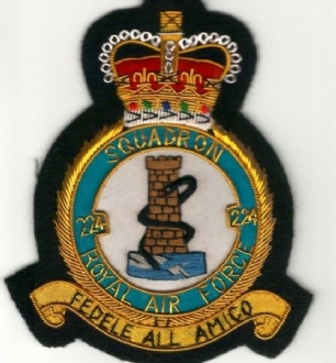 224 SQN CREST GOLD WIRE BADGE