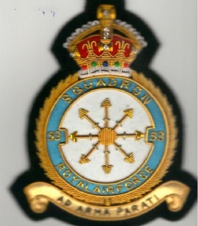 93 SQN CREST KC GOLD WIRE BADGE