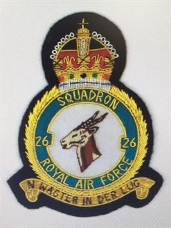 26 SQN CREST KC GOLD WIRE BADGE