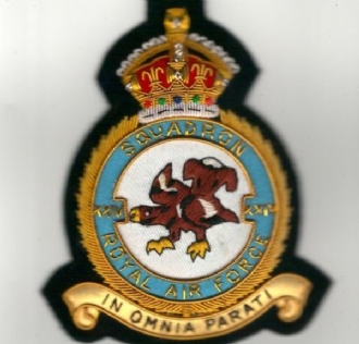 24 SQN CREST KC GOLD WIRE BADGE