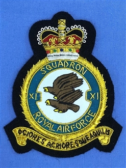 11 SQN CREST GOLD WIRE BADGE