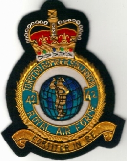 42 SQN CREST GOLD WIRE BADGE