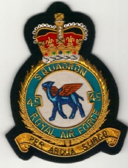 45 SQN CREST GOLD WIRE BADGE