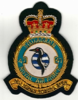 47 SQN CREST GOLD WIRE BADGE