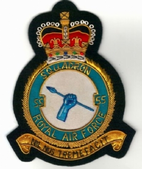 55 SQN CREST GOLD WIRE BADGE