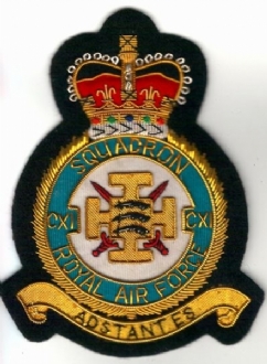 111 SQN  CREST GOLD WIRE BADGE