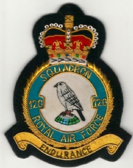 120 SQN CREST GOLD WIRE BADGE