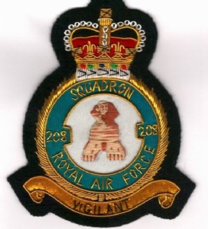 208 SQN CREST GOLD WIRE BADGE