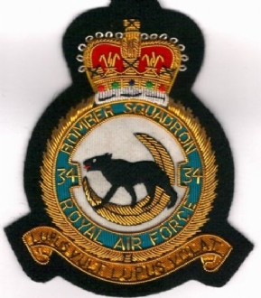 34 B) SQN CREST GOLD WIRE BADGE