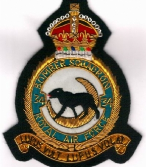 34 (B) SQN (KC)CREST GOLD WIRE BADGE