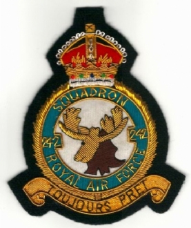 242 SQN CREST GOLD WIRE BADGE