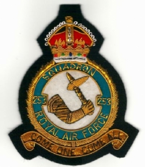 253 SQN CREST GOLD WIRE BADGE