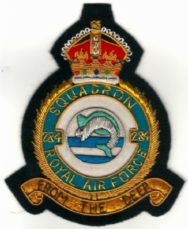 284 SQN CREST GOLD WIRE BADGE