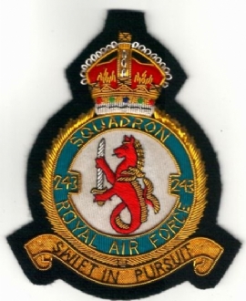 243 SQN CREST GOLD WIRE BADGE