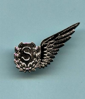 RAF S WING PIN BADGE