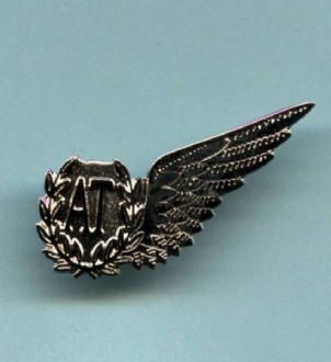 RAF AT WING PIN BADGE