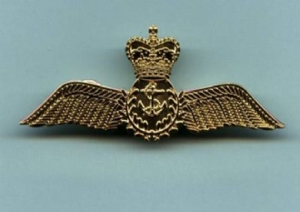 RN PILOT WING - GOLD PIN BADGE